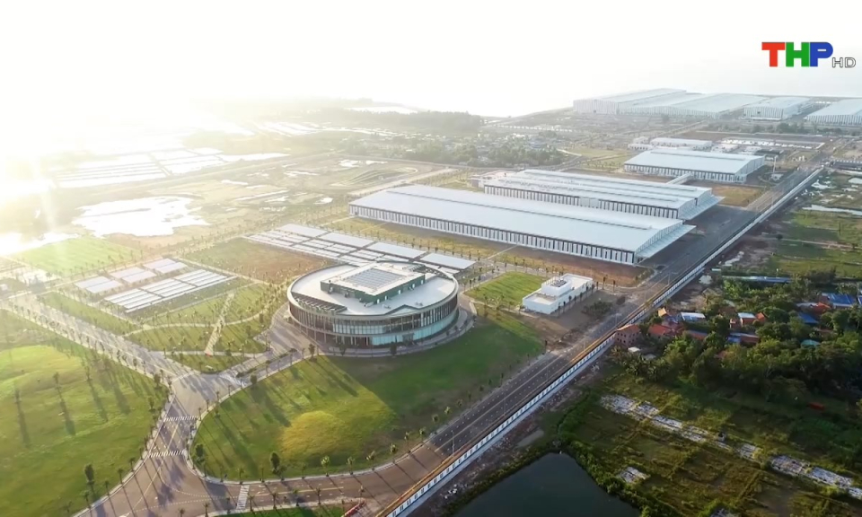 Bản tin Hải Ph&ograve;ng h&ocirc;m nay (01/08/2024)