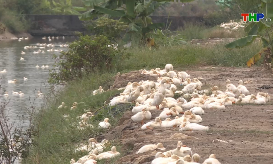 Bản tin Hải Ph&ograve;ng h&ocirc;m nay (02/08/2024)