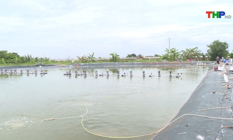 N&ocirc;ng th&ocirc;n mới Hải Ph&ograve;ng: Ứng dụng khoa học c&ocirc;ng nghệ trong nu&ocirc;i trồng thủy sản