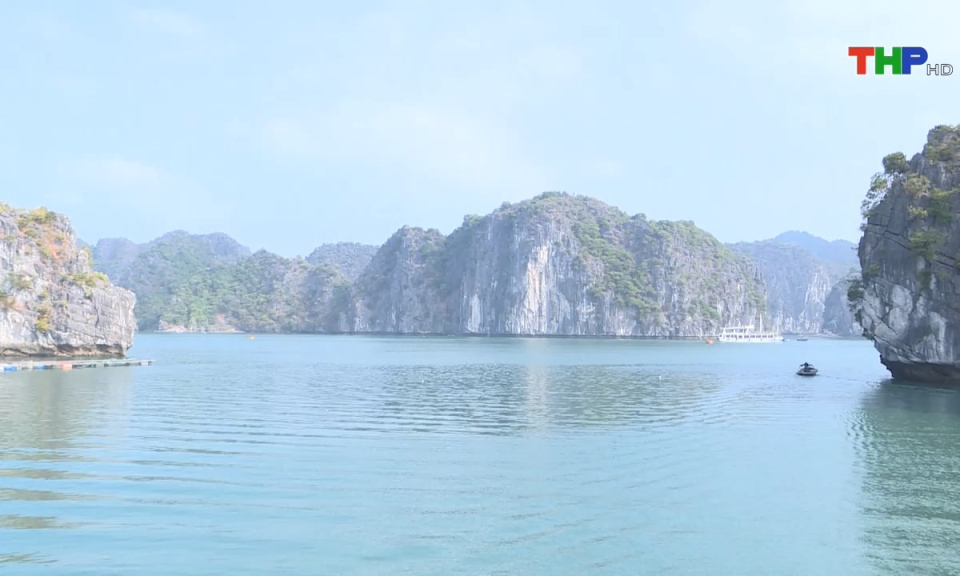 Bản tin thời sự s&aacute;ng (03/08/2024)