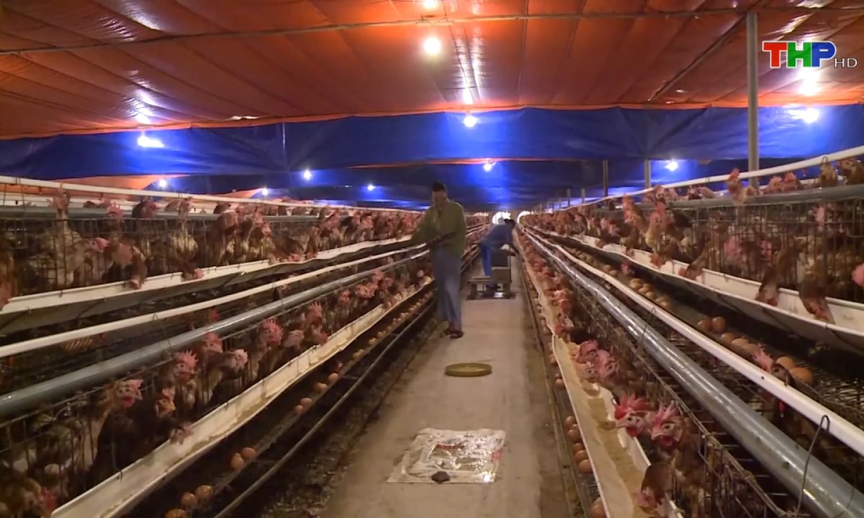 Kinh tế v&agrave; đ&ocirc; thị: Luật Hợp t&aacute;c x&atilde; 2023 - ''Đ&ograve;n bẩy'' ph&aacute;t triển cho c&aacute;c HTX