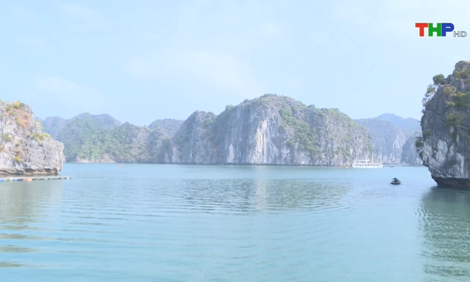 Bản tin tiếng Trung (03/08/2024)