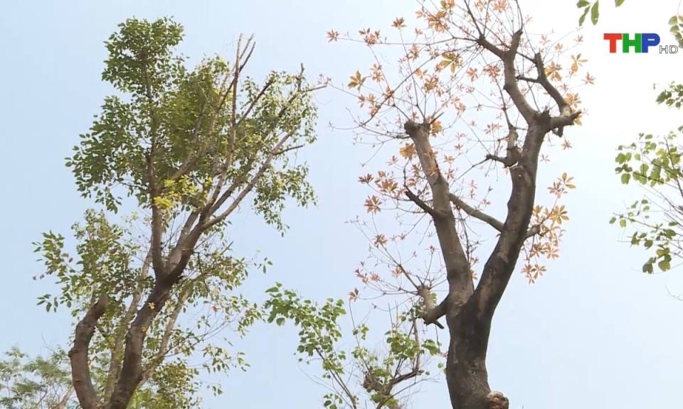 Bản tin Hải Ph&ograve;ng h&ocirc;m nay (06/08/2024)