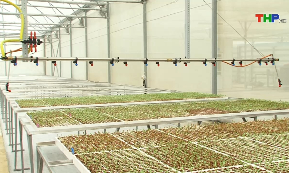 Bản tin thời sự s&aacute;ng (07/08/2024)