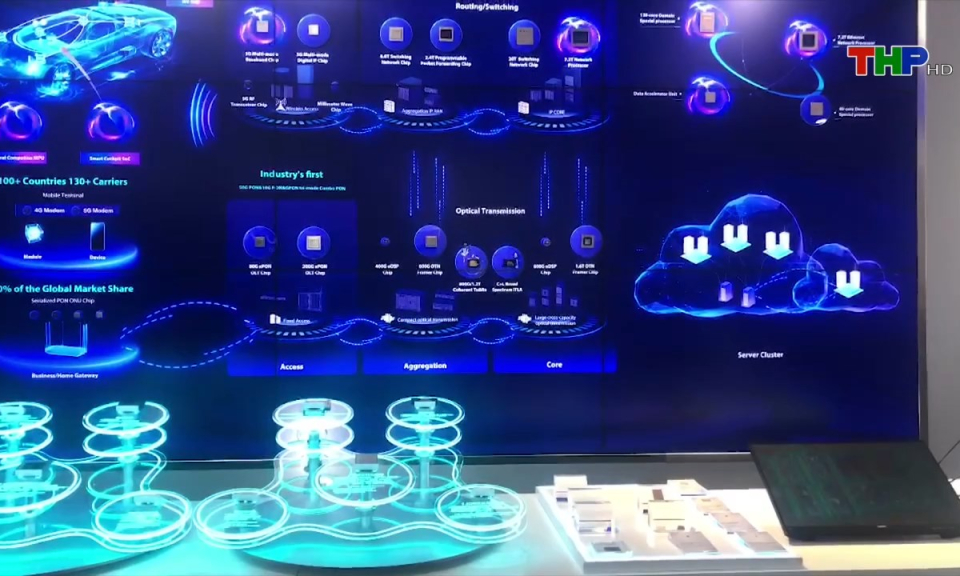 Bản tin tiếng Anh (06/08/2024)