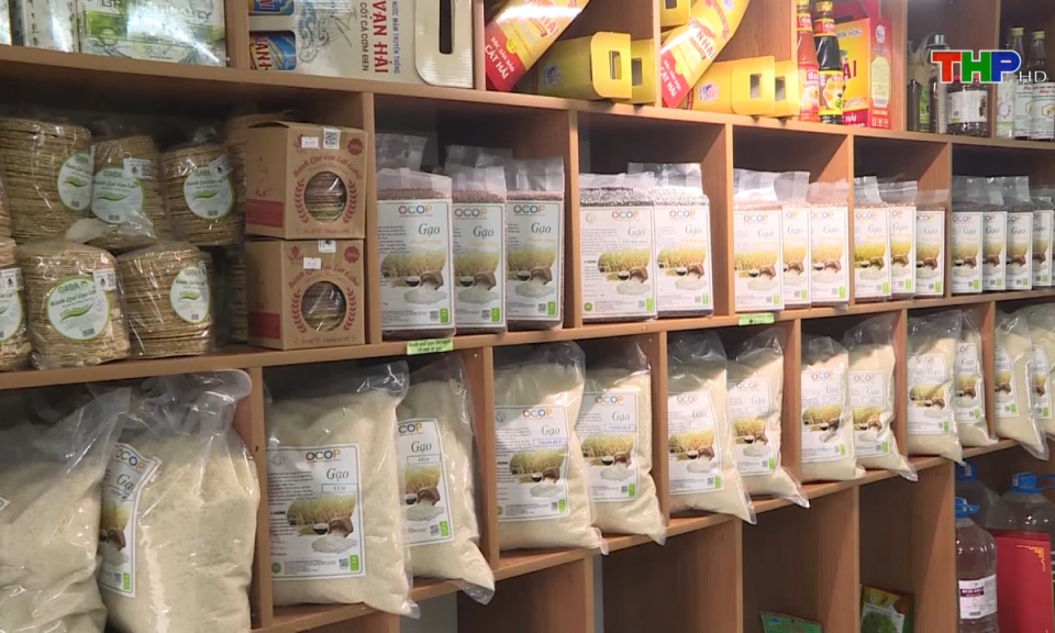 Bản tin Hải Ph&ograve;ng h&ocirc;m nay (07/08/2024)