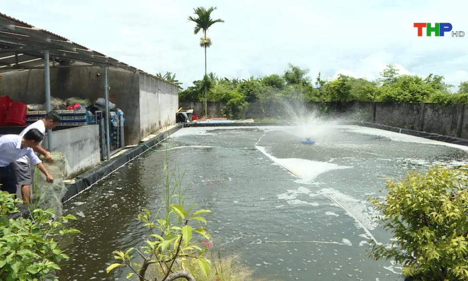 Bản tin tiếng Anh (07/08/2024)