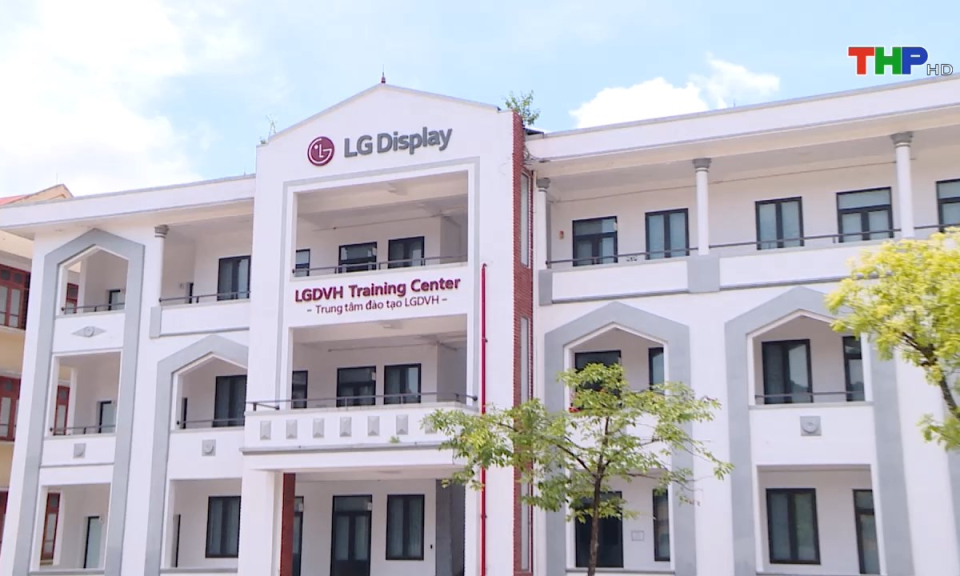 Bản tin Hải Ph&ograve;ng h&ocirc;m nay (08/08/2024)