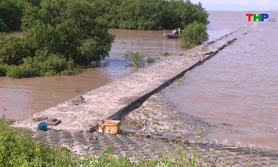 10 ph&uacute;t v&agrave;ng (08/08/2024)