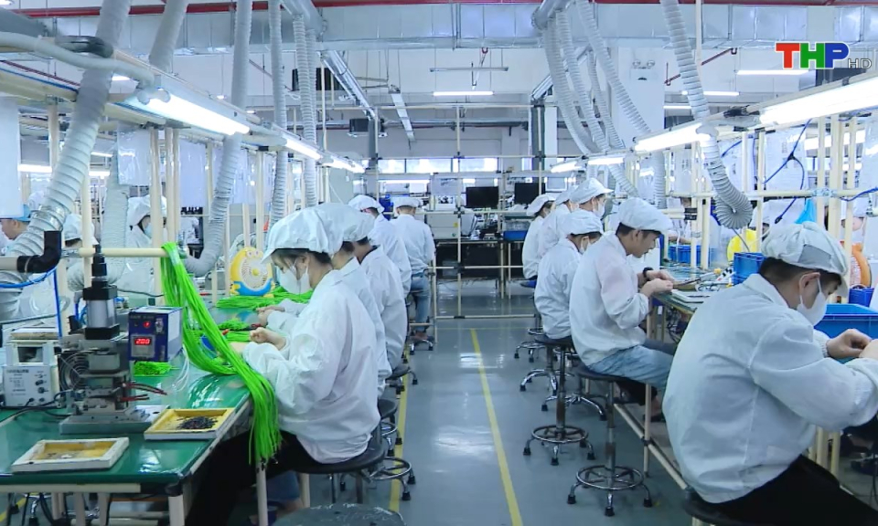 Bản tin tiếng Anh (08/08/2024)