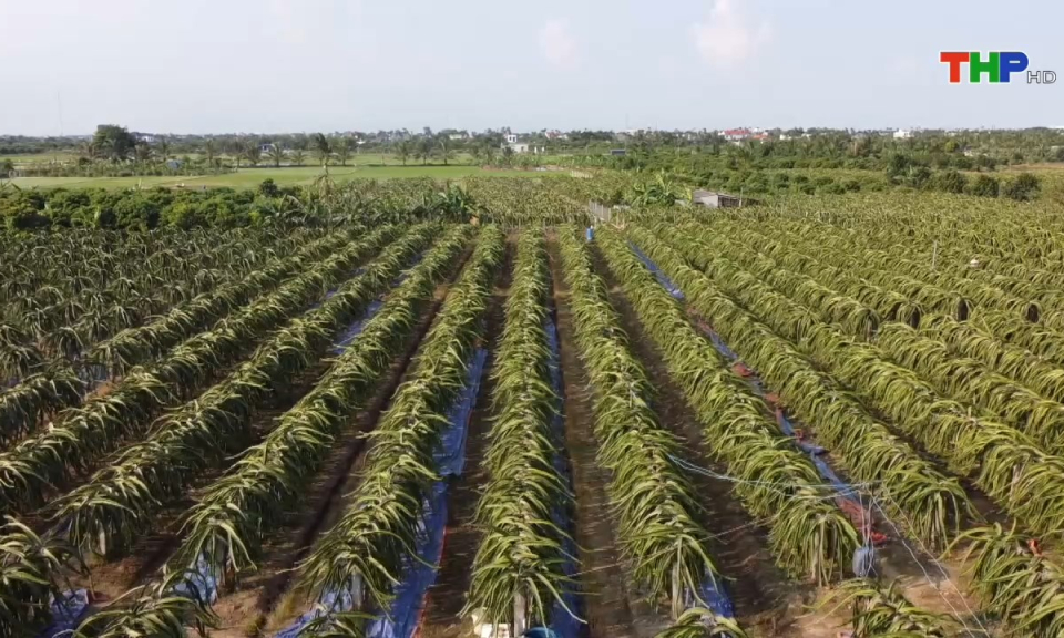 N&ocirc;ng th&ocirc;n mới Hải Ph&ograve;ng: Chuyển dịch cơ cấu n&ocirc;ng nghiệp theo hướng bền vững, hiệu quả
