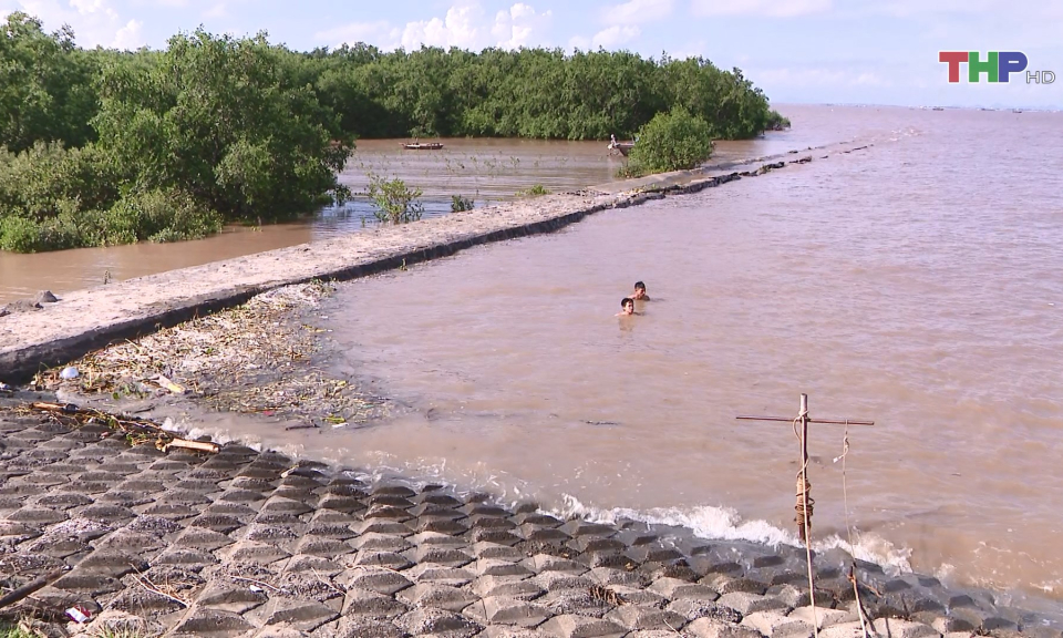 Bất chấp nguy hiểm, nhiều người vẫn bơi lội tại s&ocirc;ng, hồ