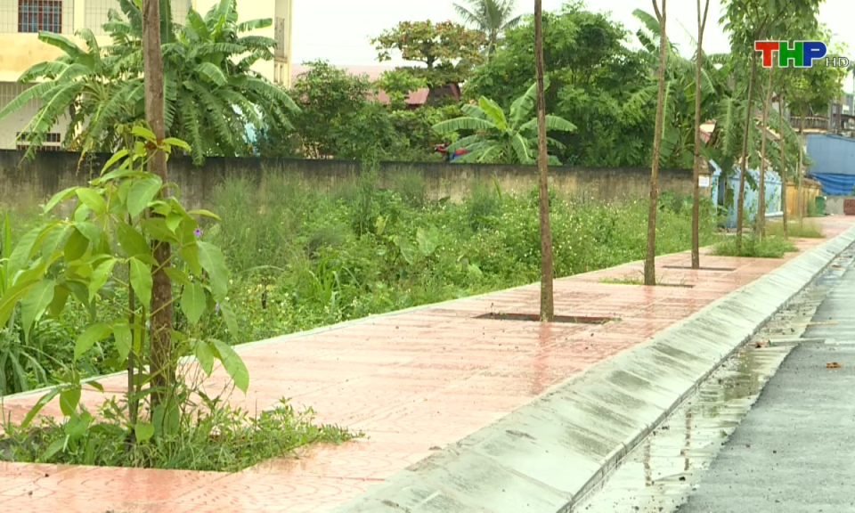 Bản tin thời sự s&aacute;ng (11/08/2024)