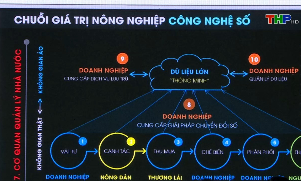 Bản tin tiếng Anh (11/08/2024)