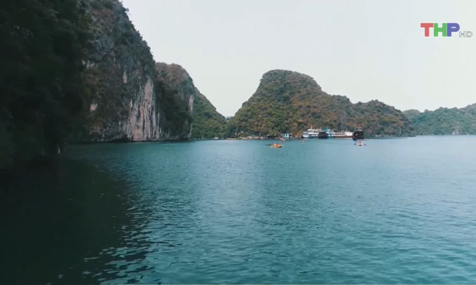 Bản tin thời sự trưa (12/08/2024)