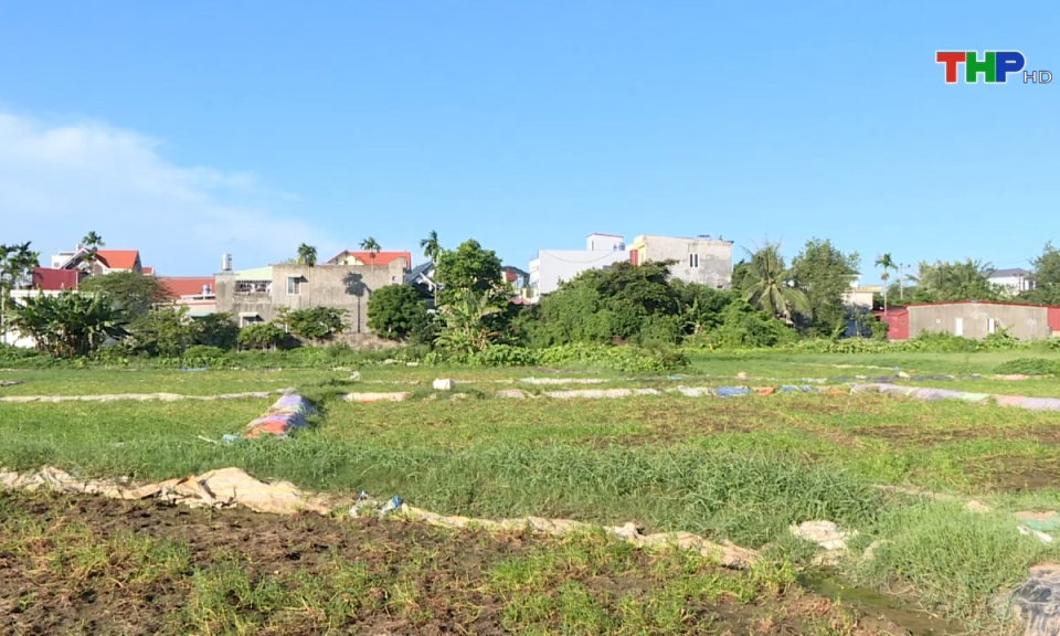 Ph&aacute;p luật v&agrave; cuộc sống: Vướng mắc trong quản l&yacute;, sử dụng đất 5%