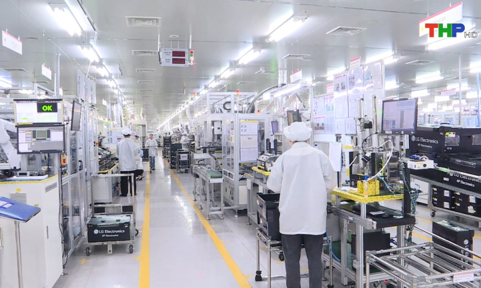 Bản tin tiếng Anh (12/08/2024)