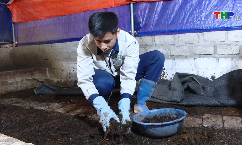 Khoa học c&ocirc;ng nghệ v&agrave; đời sống: Ứng dụng vi sinh để xử l&yacute; r&aacute;c thải hữu cơ