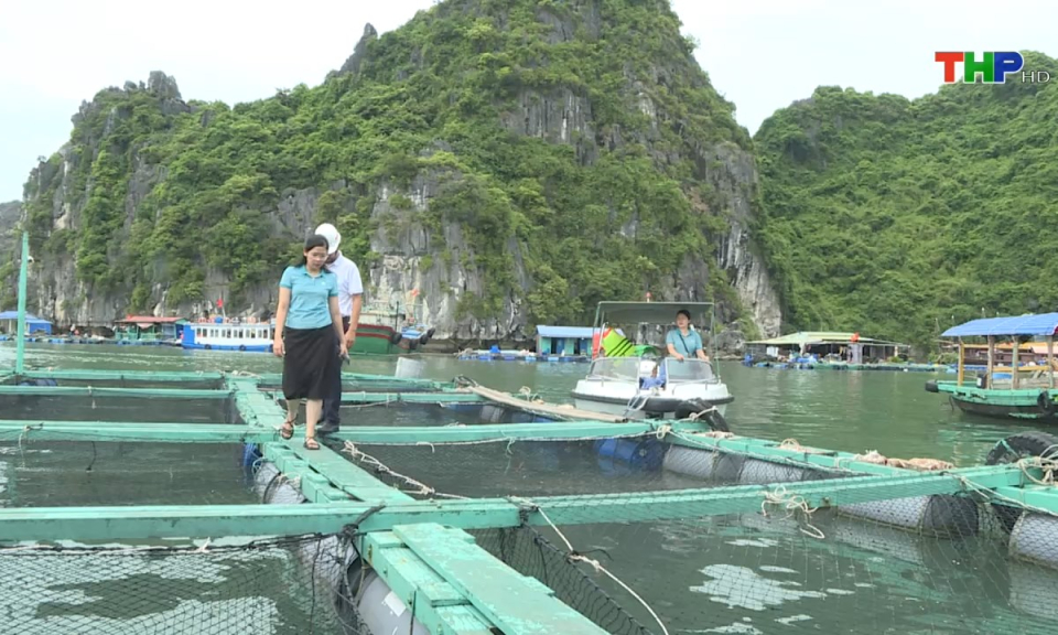 Bản tin tiếng Trung (13/08/2024)