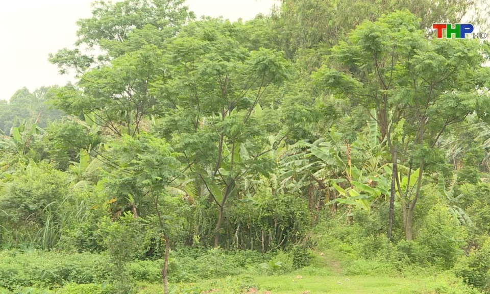 Bản tin thời sự s&aacute;ng (14/08/2024)