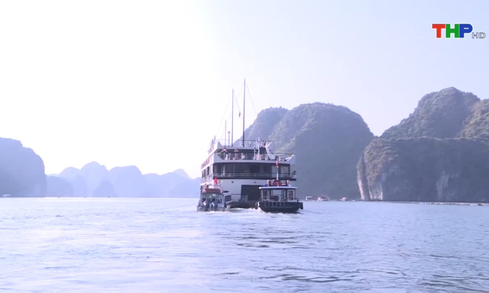 Bản tin thời sự tối (14/08/2024)