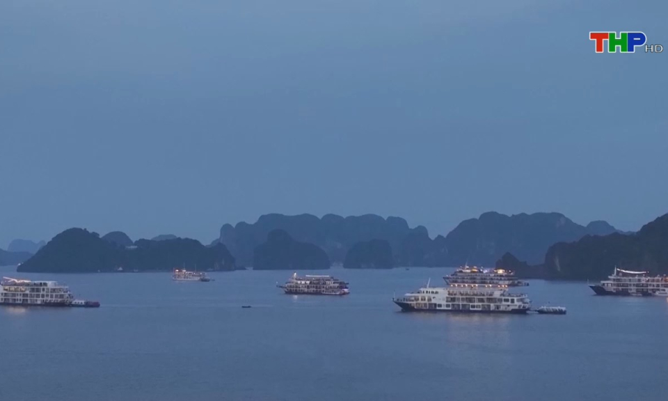 Bản tin tiếng Anh (15/08/2024)