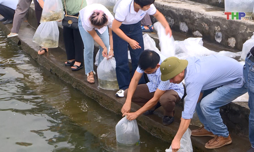 Thả c&aacute; giống t&aacute;i tạo nguồn lợi thủy sản