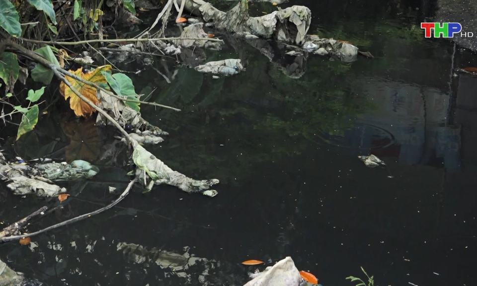 Nguy cơ &ocirc; nhiễm tại s&ocirc;ng Rế  