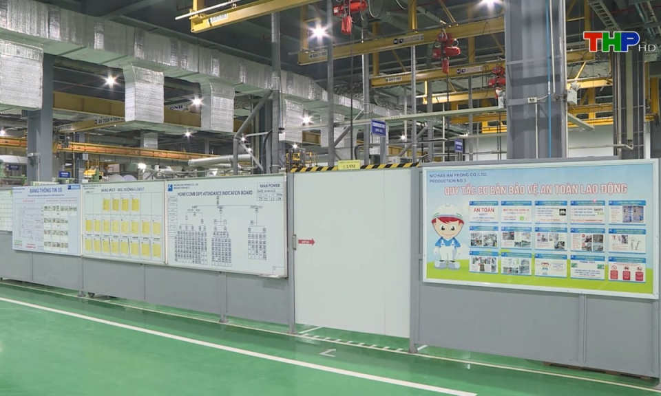 Bản tin Hải Ph&ograve;ng h&ocirc;m nay (16/08/2024)