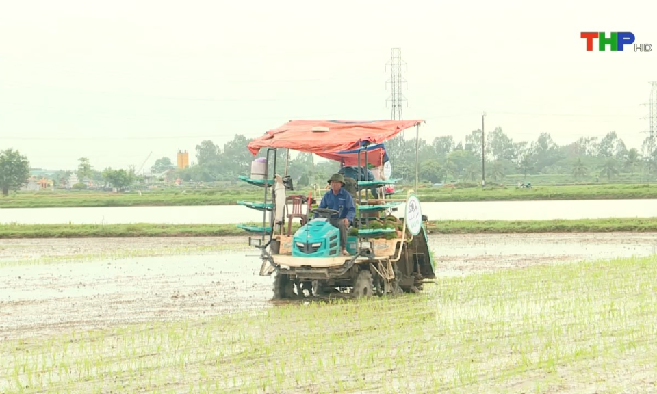 N&ocirc;ng th&ocirc;n mới Hải Ph&ograve;ng: Cơ giới h&oacute;a sản xuất n&ocirc;ng nghiệp hướng tới ph&aacute;t triển hiện đại, bền vững