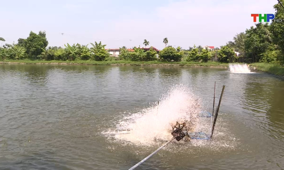 Bản tin thời sự s&aacute;ng (18/08/2024)
