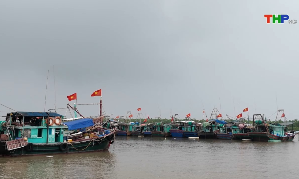 Bản tin thời sự tối (17/08/2024)