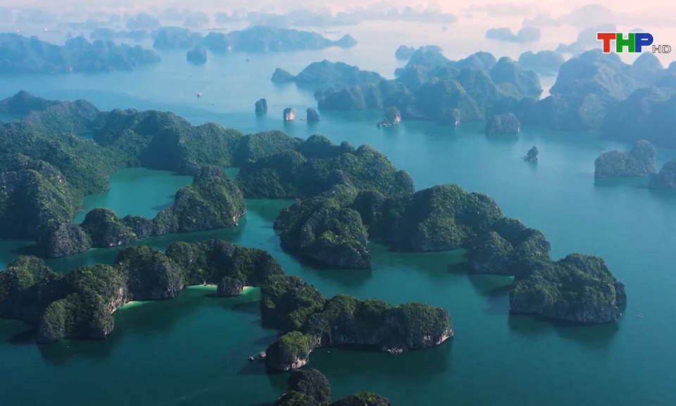 Bản tin Hải Ph&ograve;ng h&ocirc;m nay (18/08/2024)