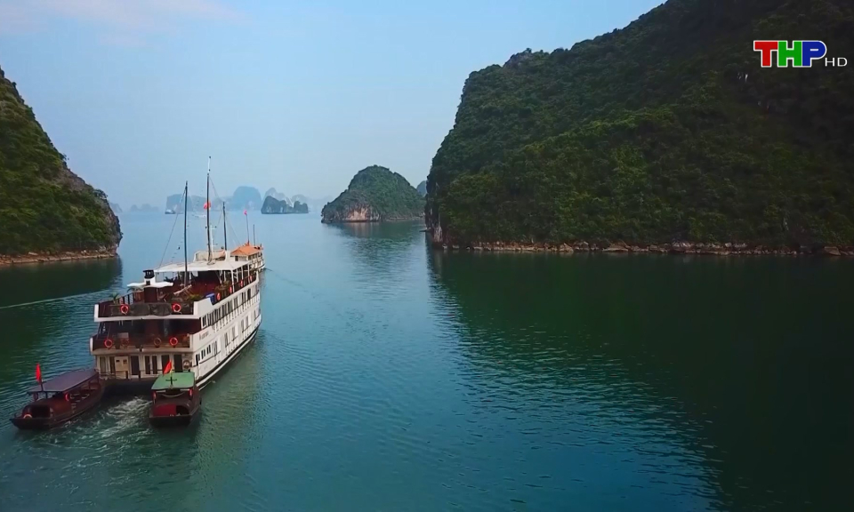 Khai th&aacute;c du lịch du thuyền tr&ecirc;n vịnh Lan Hạ