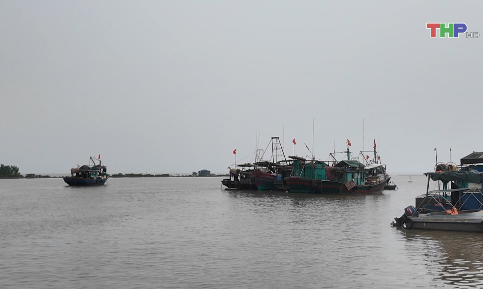 Th&aacute;o gỡ thẻ v&agrave;ng của EC đối với ng&agrave;nh thủy sản