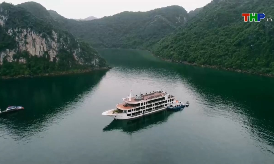 Bản tin tiếng Anh (19/08/2024)