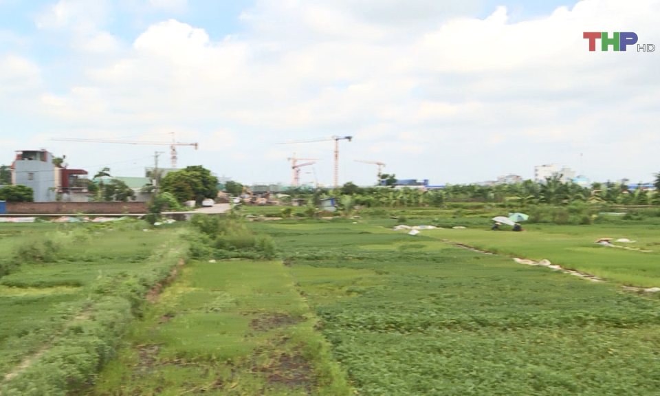 Đẩy nhanh GPMB thực hiện Dự &aacute;n đường v&agrave;nh đai 2