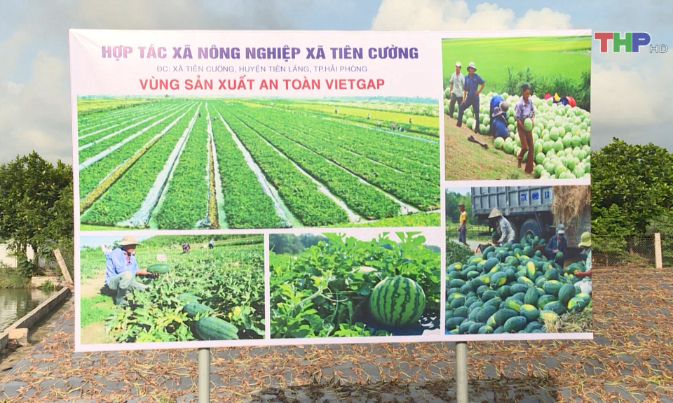 Hỗ trợ cơ sở OCOP ph&aacute;t triển bền vững