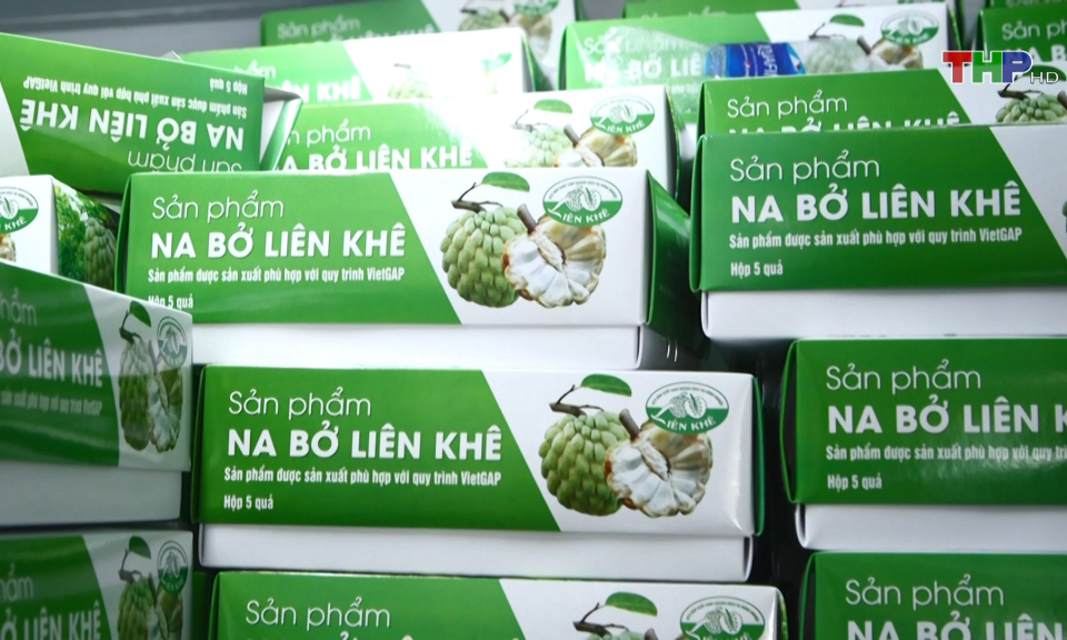 Na bở Li&ecirc;n Kh&ecirc; cho thu nhập cao