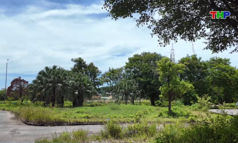 Bản tin thời sự trưa (23/08/2024)