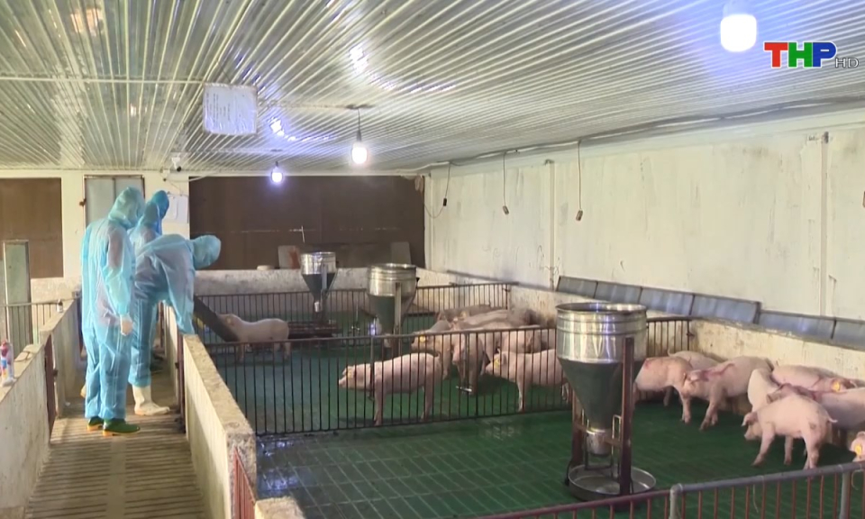 10 ph&uacute;t v&agrave;ng (23/08/2024)