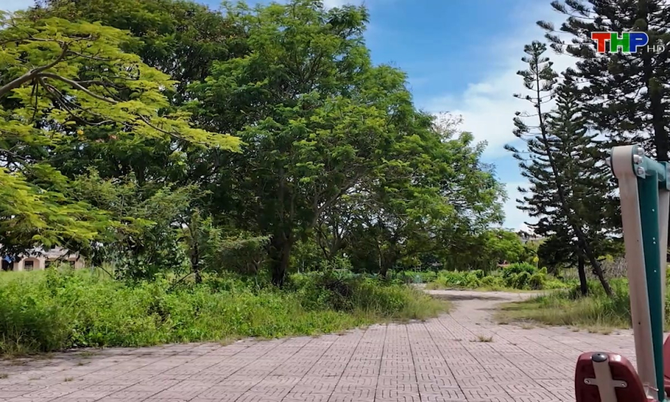 Bản tin tiếng Trung (23/08/2024)