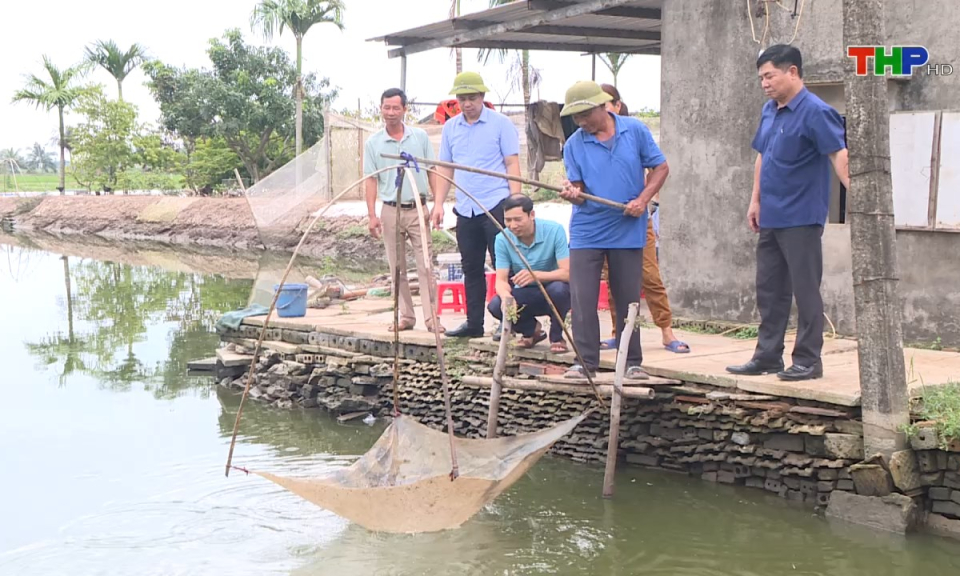 N&ocirc;ng th&ocirc;n mới Hải Ph&ograve;ng: Đồng h&agrave;nh hỗ trợ n&ocirc;ng d&acirc;n ph&aacute;t triển kinh tế