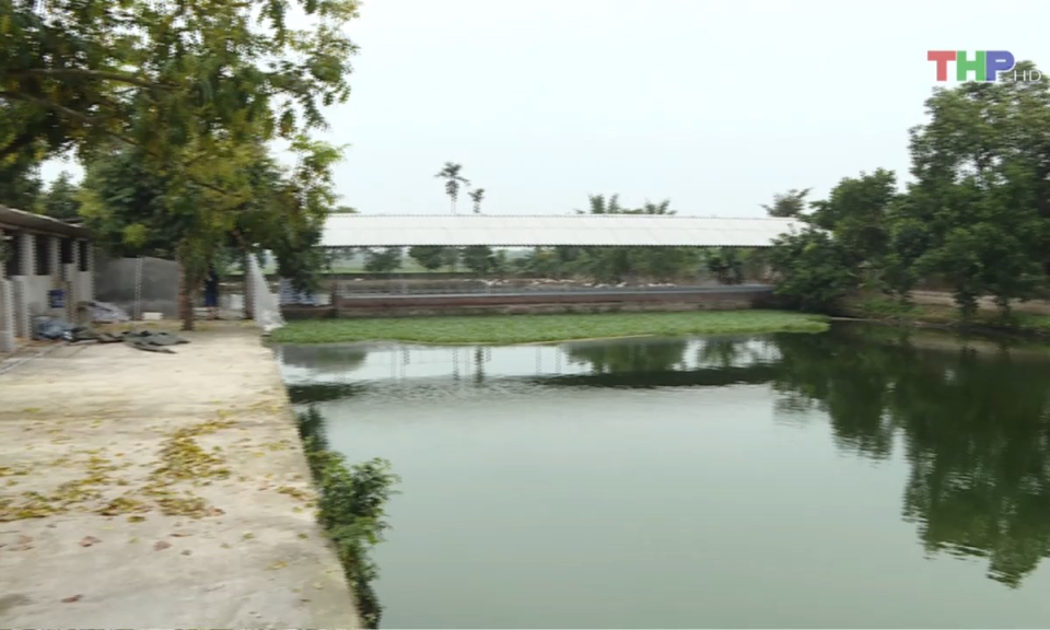 Bản tin thời sự trưa (25/08/2024)