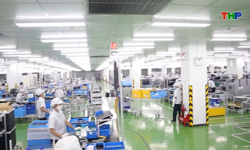 Bản tin tiếng Anh (25/08/2024)