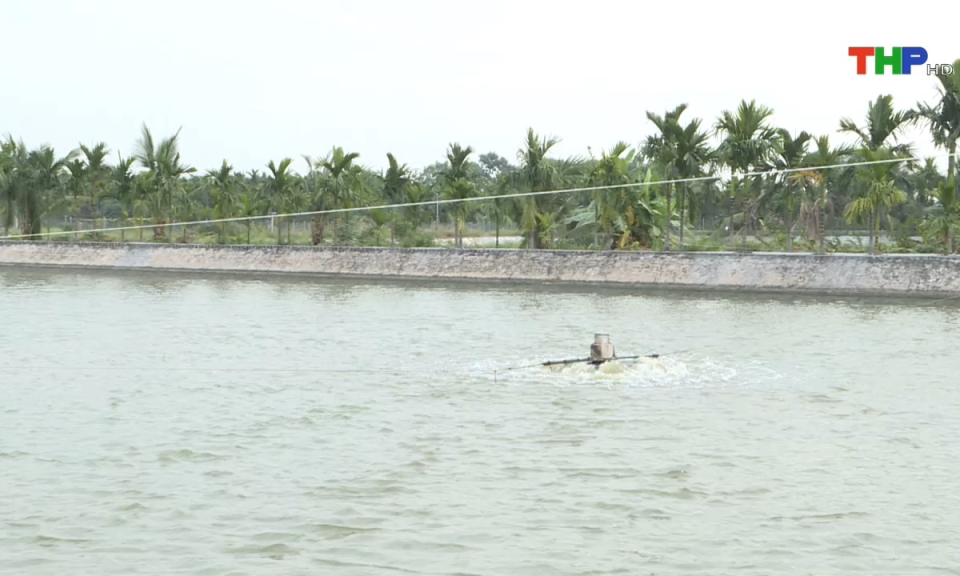 10 ph&uacute;t v&agrave;ng (26/08/2024)