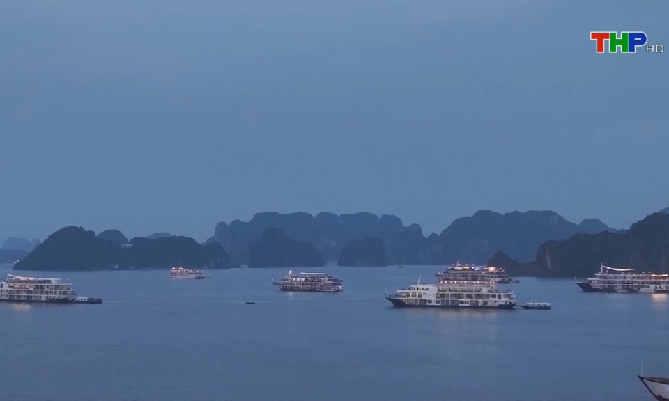 Bản tin tiếng Trung (26/08/2024)