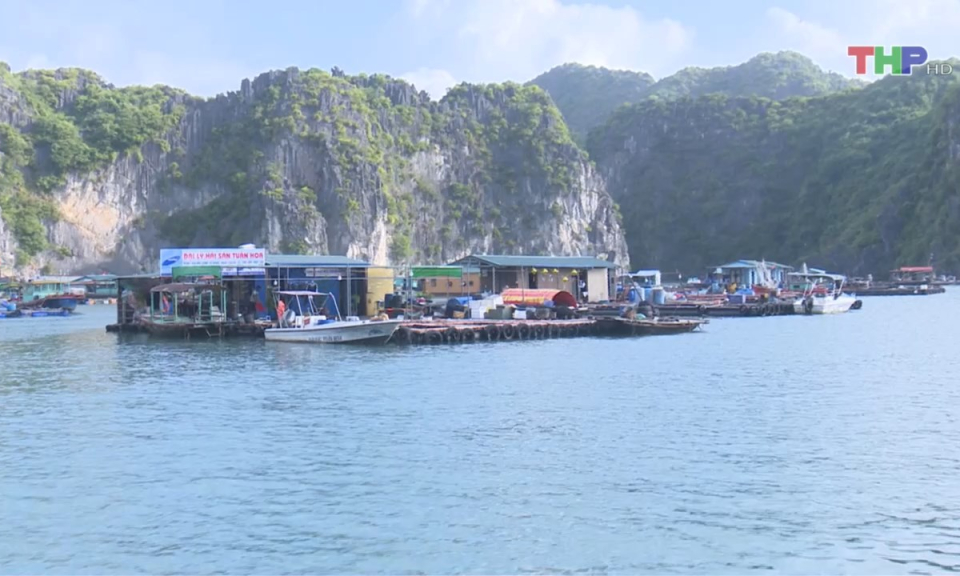 Bản tin thời sự trưa (27/08/2024)