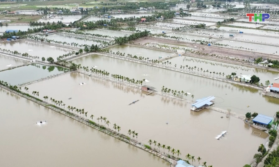 T&aacute;i cơ cấu, mở rộng sản xuất lĩnh vực thủy sản 