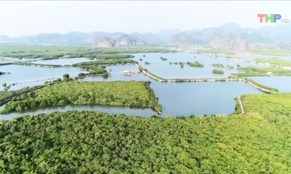 Bảo vệ v&ugrave;ng l&otilde;i di sản Vườn Quốc gia C&aacute;t B&agrave;